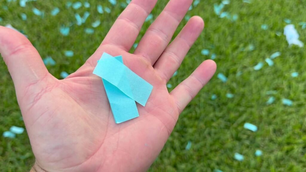 Best gender reveal confetti powder cannon biodegradable confetti