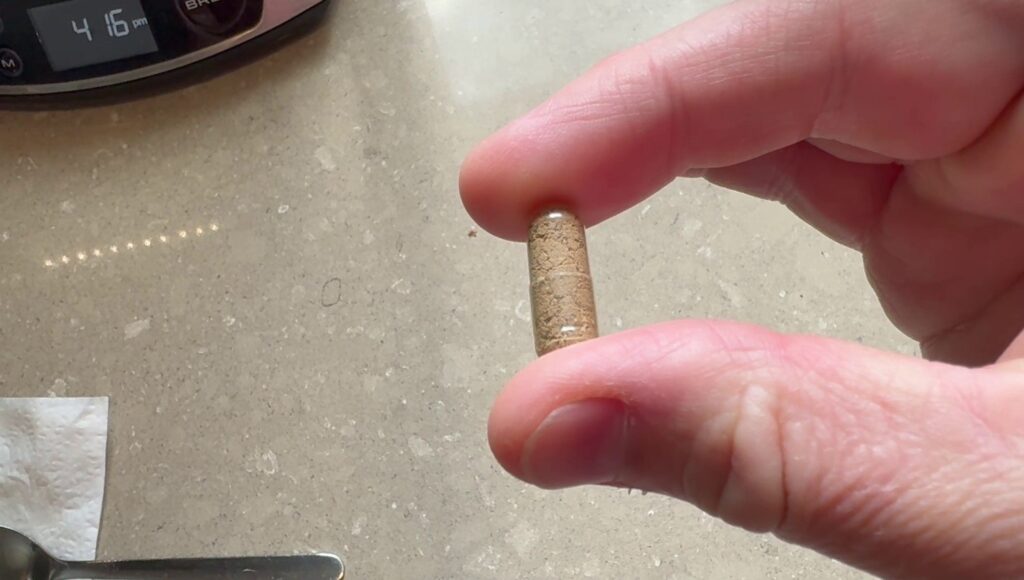 Heart and Soil Beef Organ Supplements Review close-up of capsule