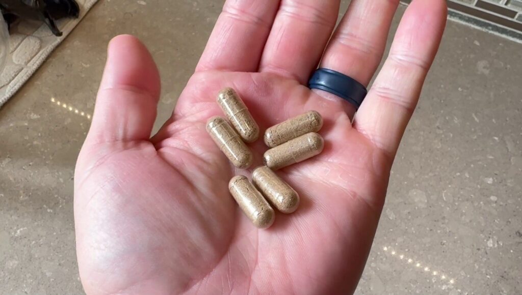 Heart and Soil Beef Organ Supplements Review Dosage 6 Capsules